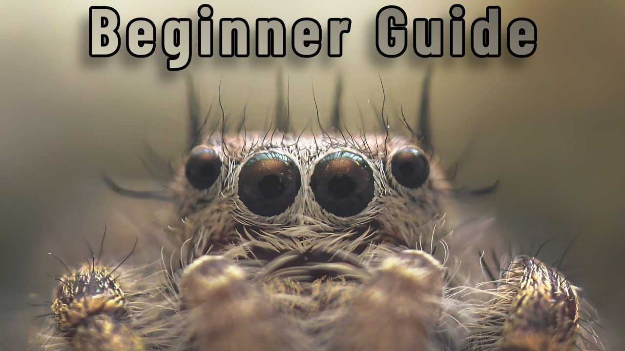 A Beginner’s Guide to Macro Photography