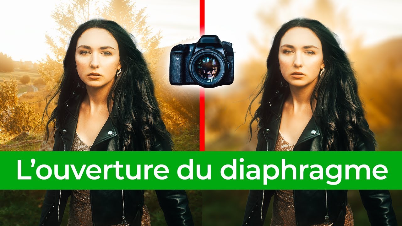 Un beau flou d'arrière-plan - L'ouverture du diaphragme - Les bases de la photo #3