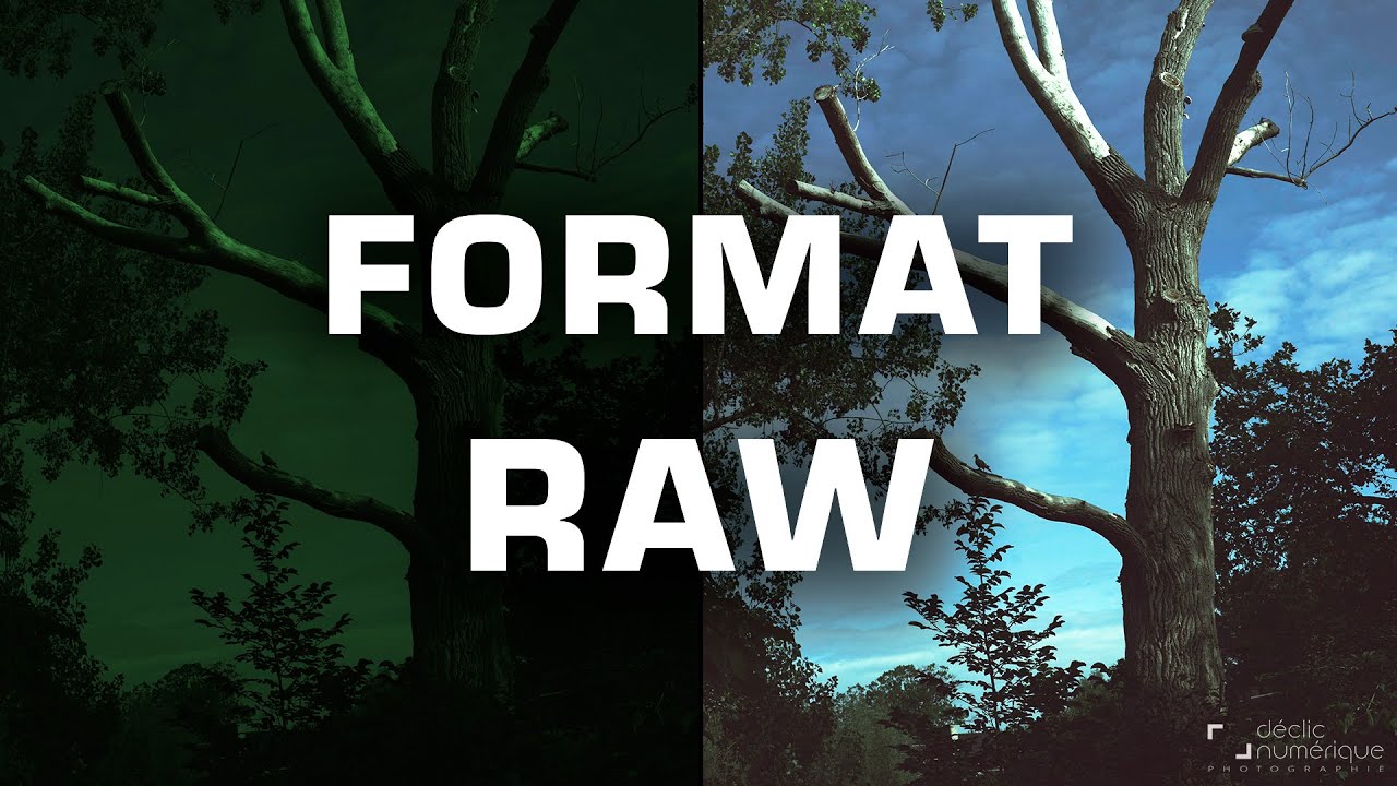 Le format RAW en PHOTOGRAPHIE