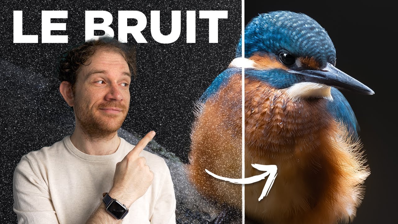 Faites ÇA pour ÉLIMINER le BRUIT de vos photos !