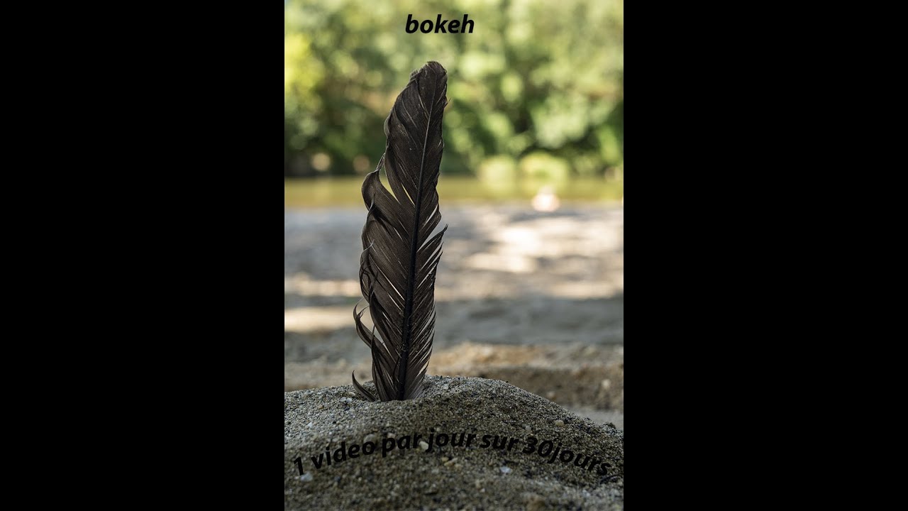 qu'est ce que l'effet bokeh et comment avoir un beau flou arrière plan?