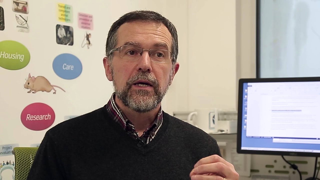 L'importance du modèle animal - Xavier Montagutelli de l'Institut Pasteur