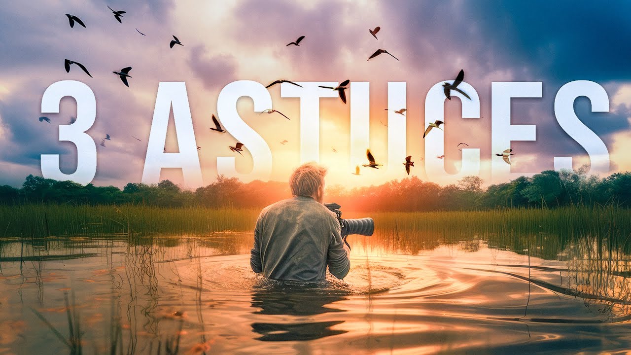 Ces techniques vont TRANSFORMER vos photos animalières