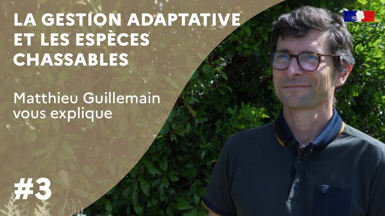 La gestion adaptative et les espèces chassables