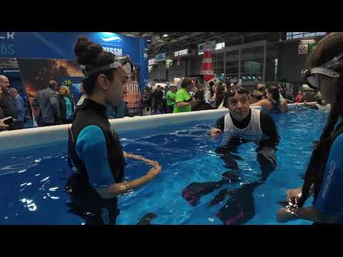 Salon de la Plongée 2026 le bassin des activités subaquatiques