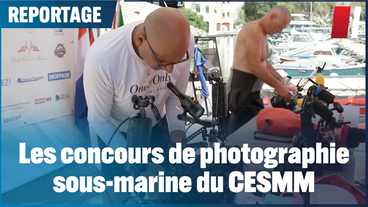 Les concours de photographie sous-marine du CESMM
