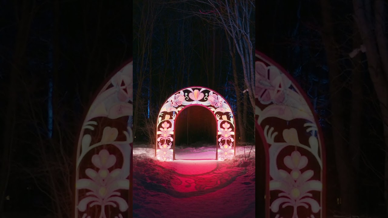 L’hiver à Québec : forêts enneigées, grands espaces et beauté saisissante