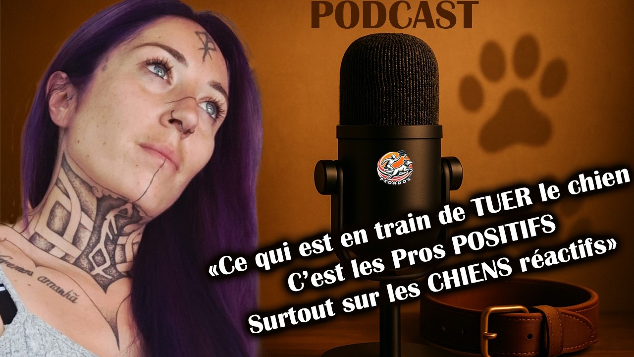 PODCAST : Rééducation canine, réactivité, méthodes : la vision sans filtre d’Une fille o'poils