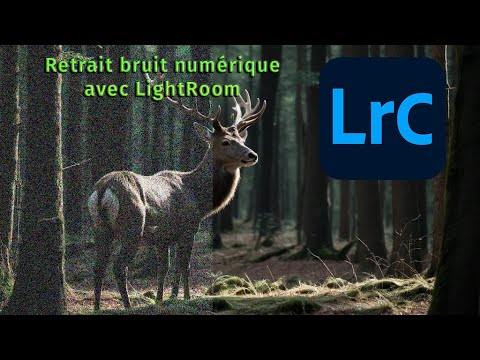 Retrait bruit numérique avec l'AI de LightRoom