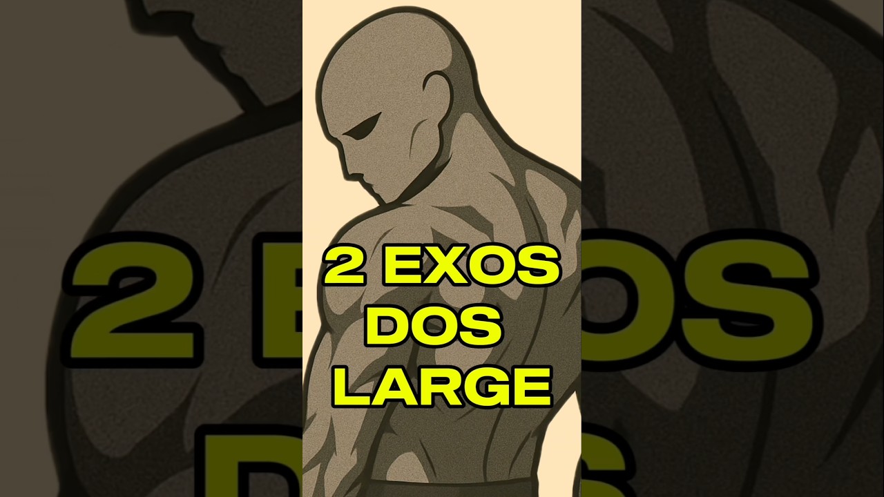 2 EXOS POUR UN CORPS EN V #muscu #dos #épaule