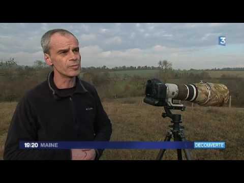 Christophe Salin, au coeur du bocage Sarthois